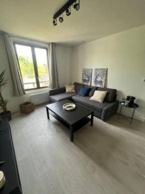 Charmant T3. Spacieux et cosy